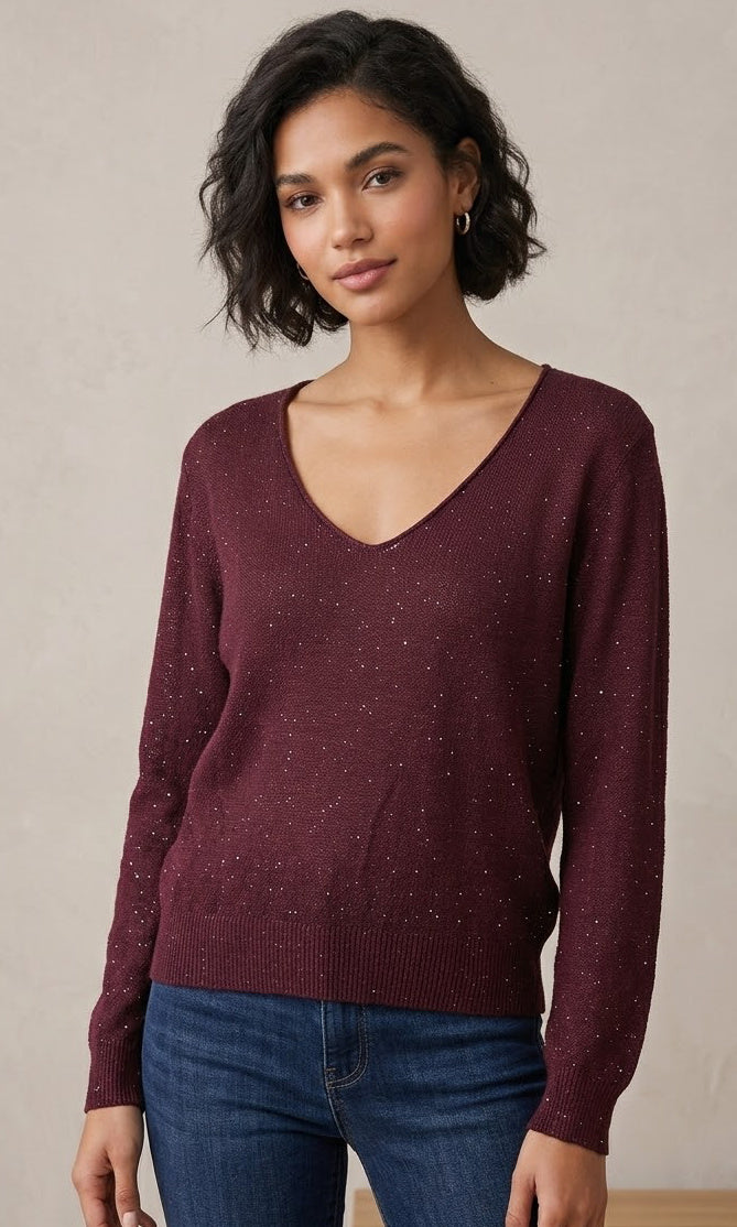 Sparkle V-Neck Knit Sweater