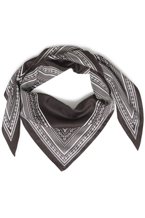 Bandana Print Skinny Scarf