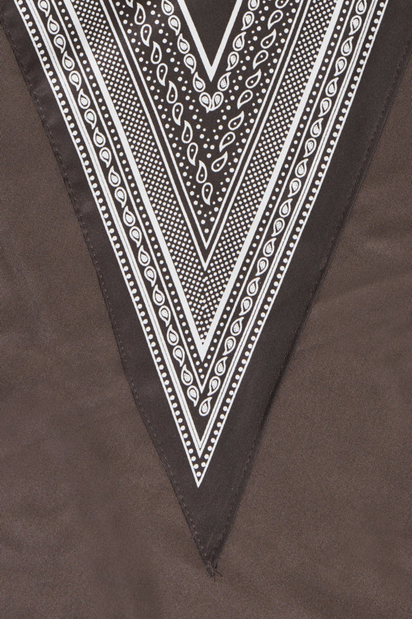 Bandana Print Skinny Scarf