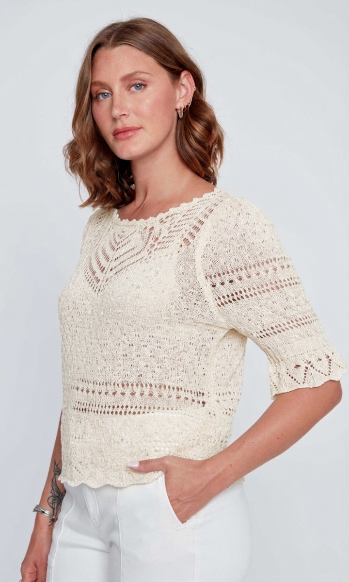 Pointelle Knit Short Sleeve Sweater